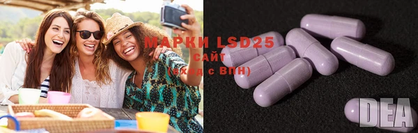 ГАЛЛЮЦИНОГЕННЫЕ ГРИБЫ Кодинск