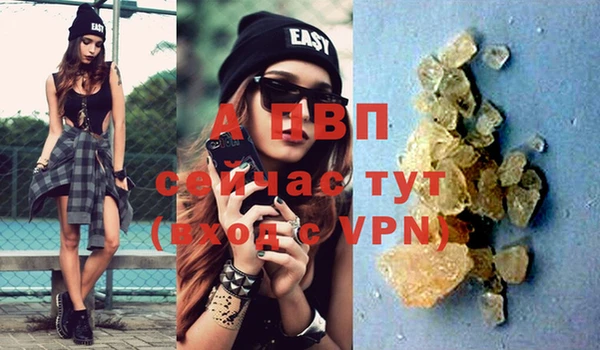 ГАЛЛЮЦИНОГЕННЫЕ ГРИБЫ Кодинск