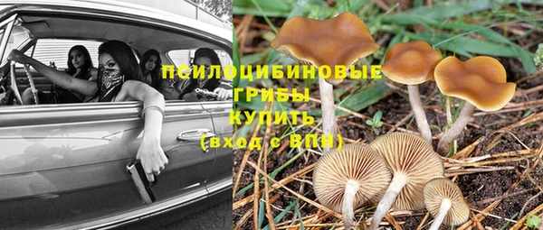 ГАЛЛЮЦИНОГЕННЫЕ ГРИБЫ Кодинск