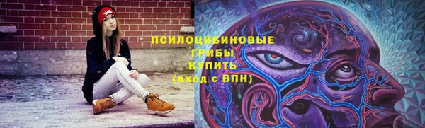 молекула духа Козельск