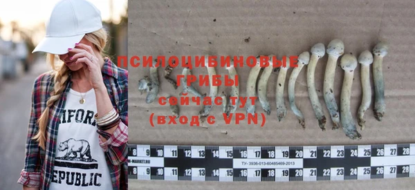 ГАЛЛЮЦИНОГЕННЫЕ ГРИБЫ Кодинск