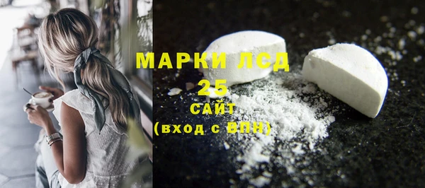 ГАЛЛЮЦИНОГЕННЫЕ ГРИБЫ Кодинск