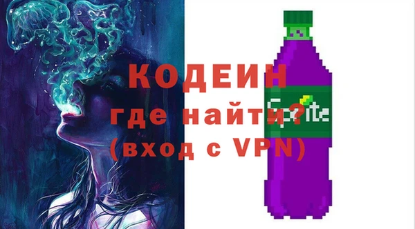 молекула духа Козельск