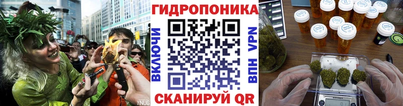 Купить где  Ленинск  Шишки марихуана сатива 